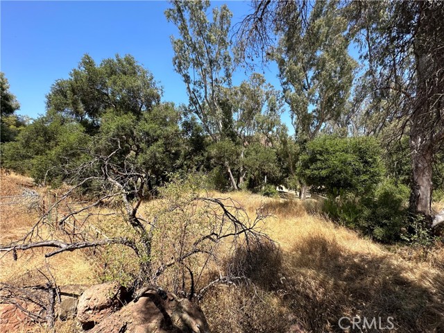 Detail Gallery Image 30 of 41 For 30100 Mulholland, –,  CA 91301 - – Beds | – Baths