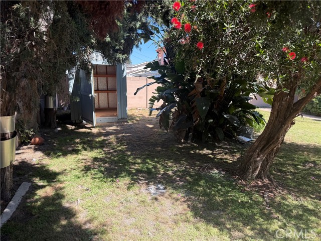 Image 13 of 19 For 6083 Fred  