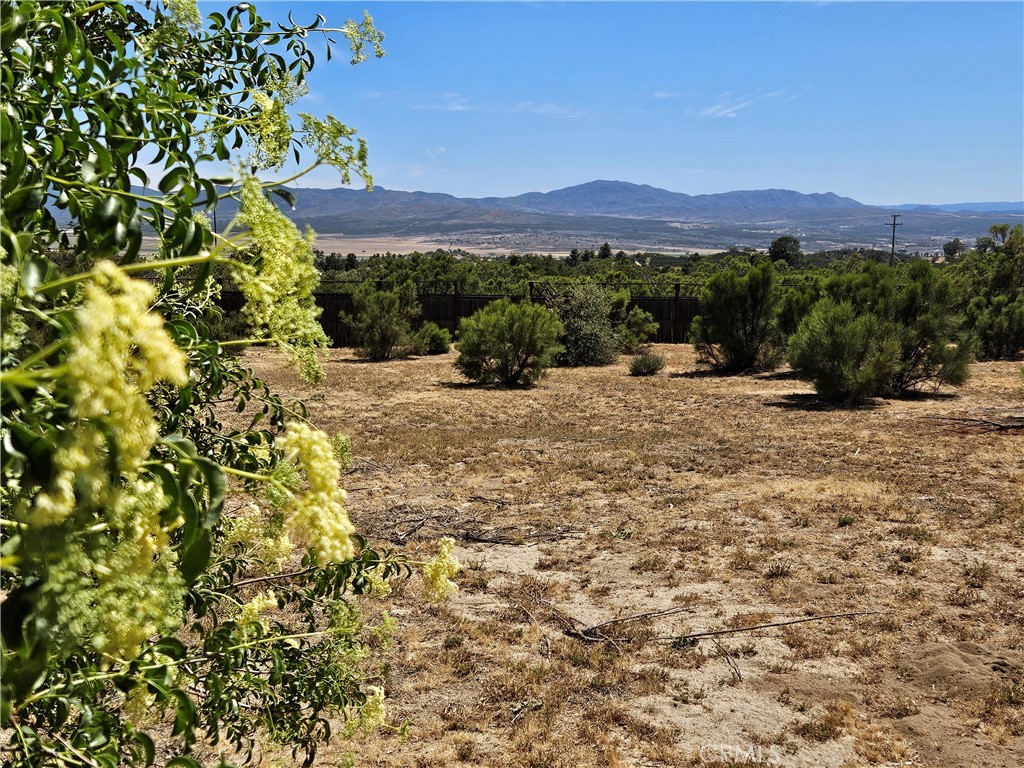 https://media.crmls.org/medias/4590458c-e053-49b3-9aa6-c44fd74855a1.jpg?preset=X-Large