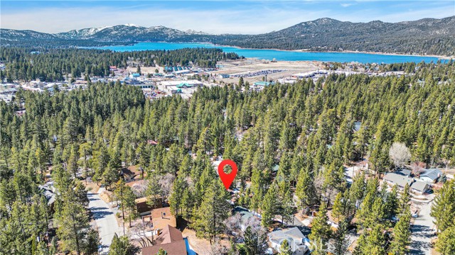 Detail Gallery Image 53 of 58 For 42363 Paramount Rd, Big Bear Lake,  CA 92315 - 3 Beds | 2 Baths