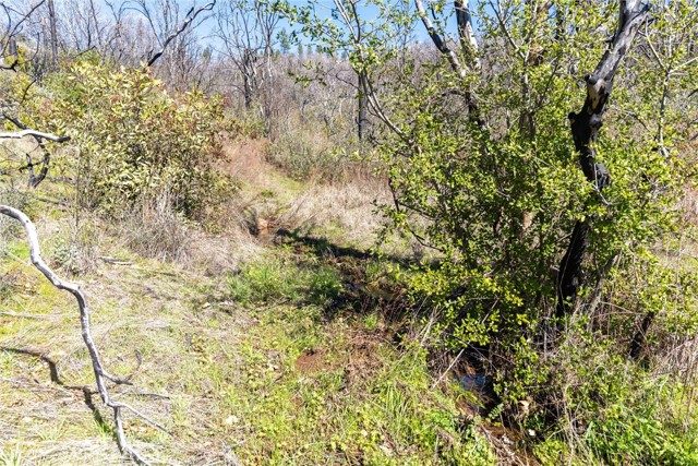0 Big Ridge Road, Berry Creek CA: https://media.crmls.org/medias/459862ba-fe79-4cd7-b203-265706ceb0e7.jpg