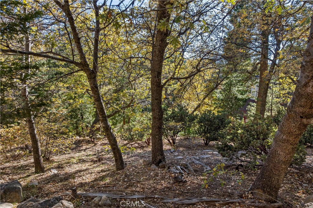 MLS #IG25254528 image #9