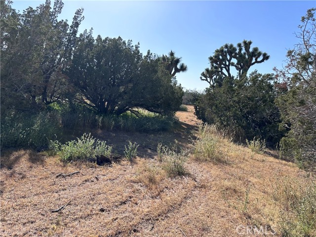 0 Daisy, Hesperia, CA, 92344 0 Daisy, Hesperia, CA, 92344
