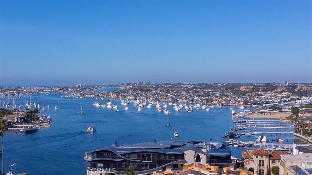 45a0faf9 C2d0 45b8 B1dc 3cbd8afc6013