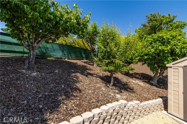 1613 Via Flora, Paso Robles CA: https://media.crmls.org/medias/45a3890a-44cf-4b24-bd99-991f3ef352ed.jpg