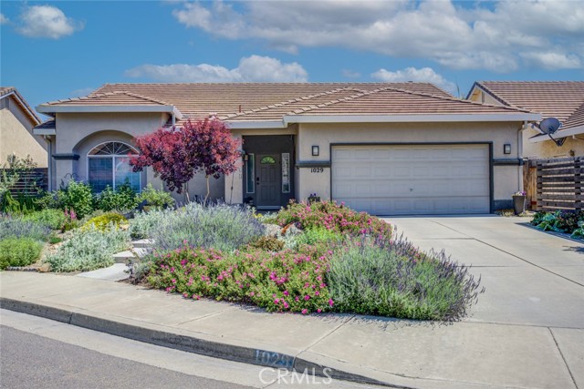 Detail Gallery Image 1 of 1 For 1029 Kiwi Ct, Merced,  CA 95340 - 3 Beds | 2 Baths