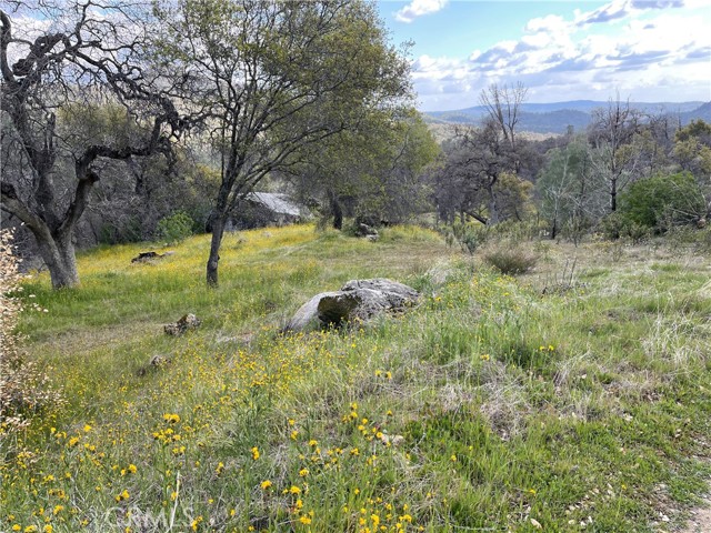 Detail Gallery Image 14 of 24 For 3786 Bronco Hollow Rd, Mariposa,  CA 95338 - – Beds | – Baths