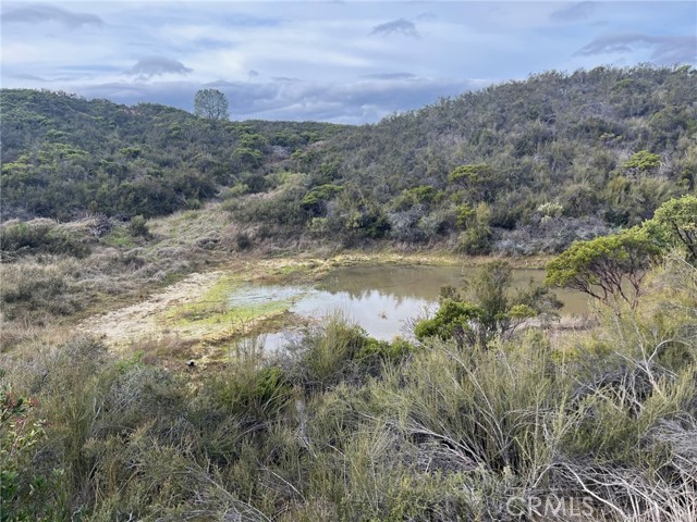 Detail Gallery Image 5 of 8 For 8445 Old Dirt Rd, Kelseyville,  CA 95451 - – Beds | – Baths
