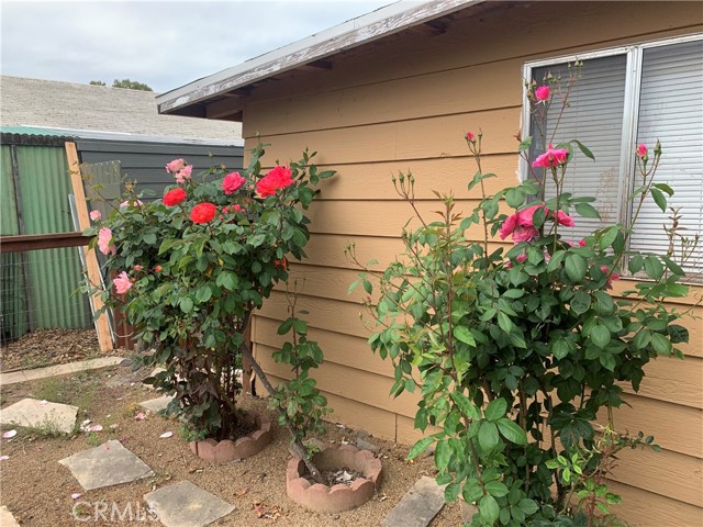 1800 south main, Lakeport CA: https://media.crmls.org/medias/45b13e69-49f2-4bed-add0-2435abc74a98.jpg