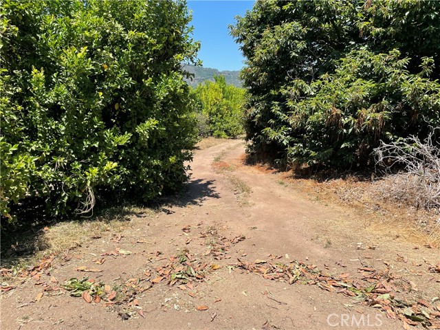44952 Vista Del Mar, Temecula CA: https://media.crmls.org/medias/45c259ba-a459-4dcb-b7a7-49c01ea41f5b.jpg