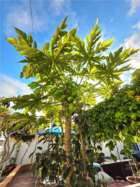 Detail Gallery Image 64 of 64 For Address Is Not Disclosed, Gardena,  CA 90249 - 5 Beds | 4 Baths