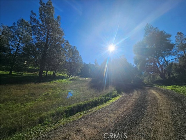 Detail Gallery Image 35 of 49 For 50814 Road 200, O Neals,  CA 93645 - 3 Beds | 3 Baths