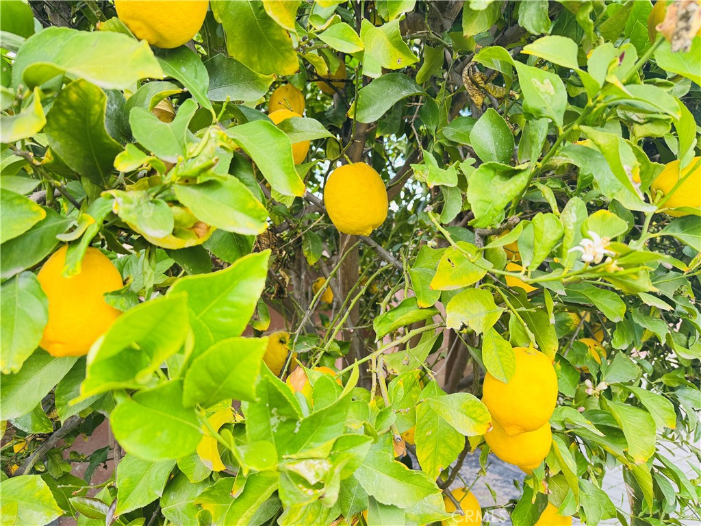 https://media.crmls.org/medias/45d15eb1-2a1c-48d2-8b08-dc15909429bd.jpg?preset=X-Large