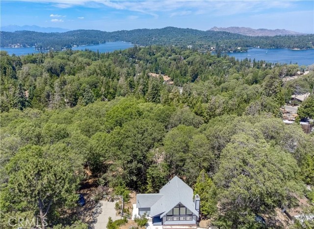 29148 Lyon Drive, Cedar Glen CA: https://media.crmls.org/medias/45d54757-9fb0-49b5-bfa9-8bf0d4212564.jpg