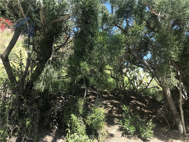 0 Residential - Vacant Land, West Hollywood, CA, 90069 0 Residential - Vacant Land, West Hollywood, CA, 90069