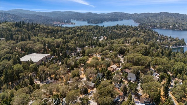 29251 Lake Brook Avenue, Cedar Glen CA: https://media.crmls.org/medias/45d9d76e-3839-42c6-83d9-2656681cd740.jpg
