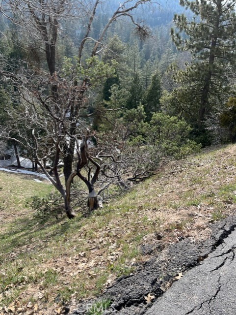 818 Berne, Crestline, California 92391, ,Land,For Sale,818 Berne,CRRW23059271