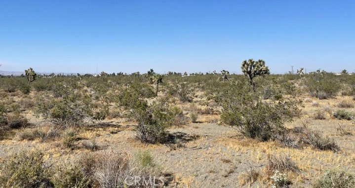 MLS #HD25147546 image #5