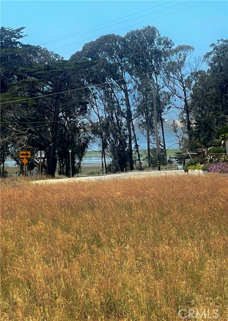 1711 5th Street, Los Osos CA: https://media.crmls.org/medias/45e3e2a4-33c5-494e-a40e-d23a20bbf20b.jpg