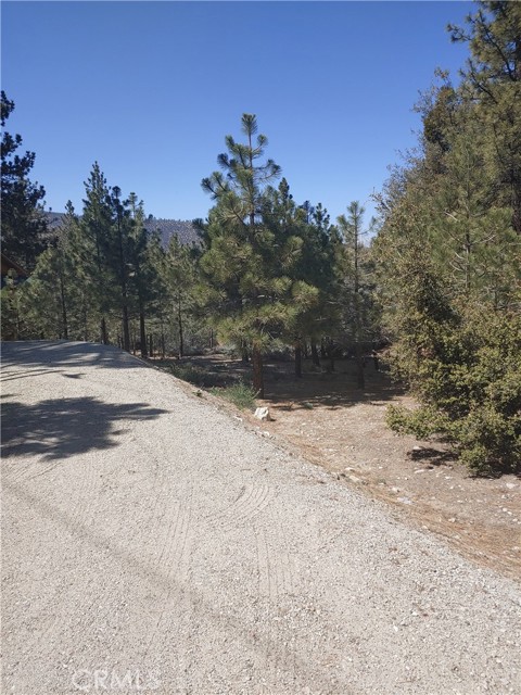1612 Dogwood Way, Pine Mtn Club, CA, 93225 1612 Dogwood Way, Pine Mtn Club, CA, 93225