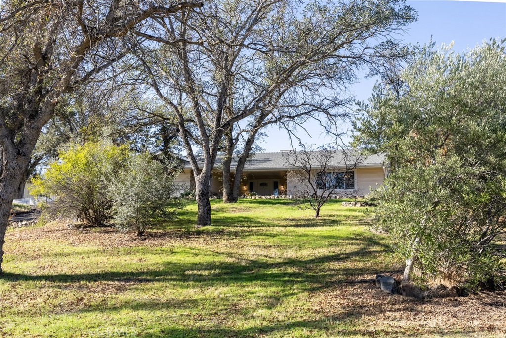 41443 Roaring River Court