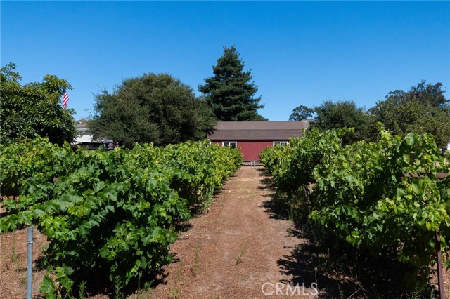 Detail Gallery Image 54 of 67 For 165 Deer Run Ln, Santa Maria,  CA 93455 - 4 Beds | 3 Baths