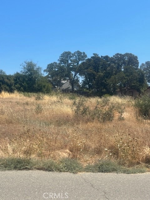 Detail Gallery Image 11 of 11 For 140 Loma Vista, Oroville,  CA 95966 - – Beds | – Baths
