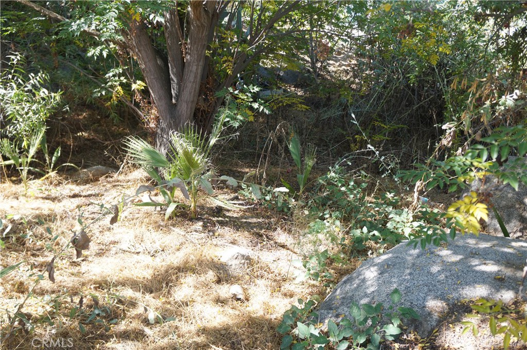 MLS #IV25249258 image #7