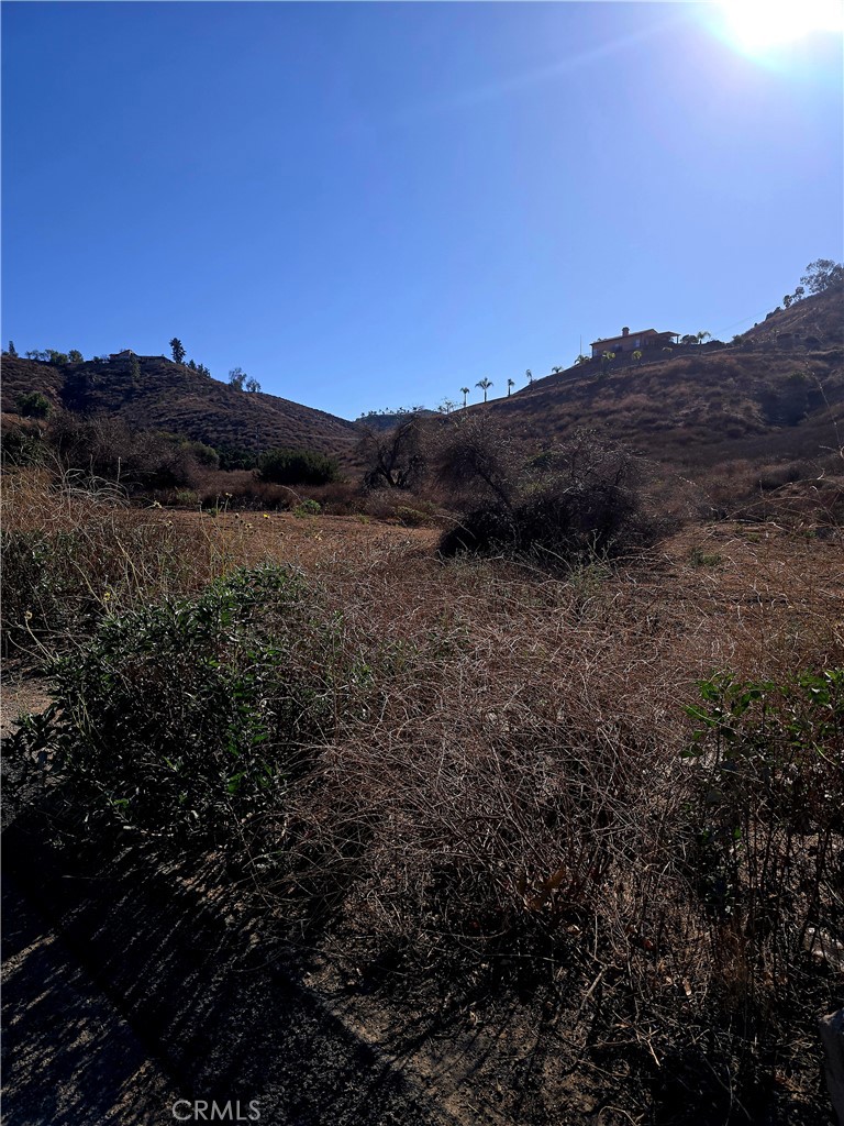 MLS #SR25238725 image #7