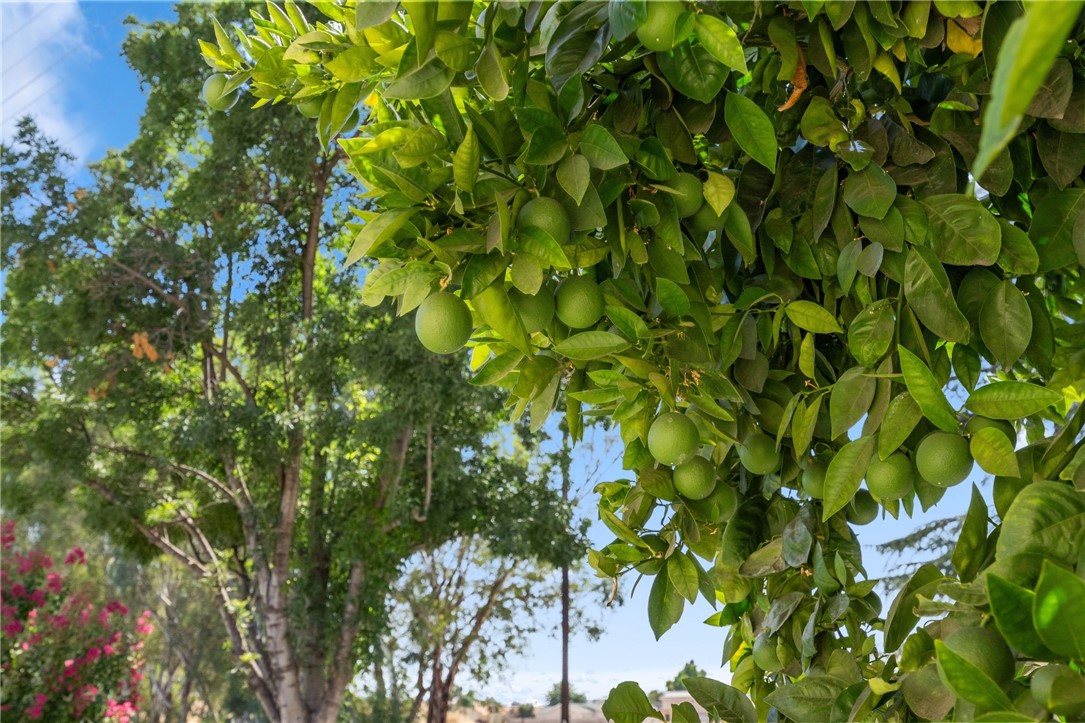 Detail Gallery Image 29 of 38 For 2405 El Rancho Cir, Hemet,  CA 92545 - 2 Beds | 2 Baths