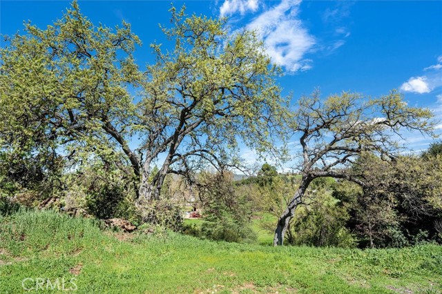 Detail Gallery Image 39 of 47 For 28888 Conejo View Dr, Agoura Hills,  CA 91301 - 2 Beds | 2 Baths