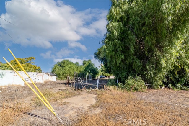 Front Image Thumbnail for CRSW25243623