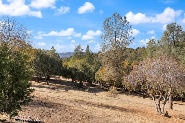 Detail Gallery Image 38 of 42 For 42617 Old Yosemite Rd, Oakhurst,  CA 93644 - 3 Beds | 2/1 Baths