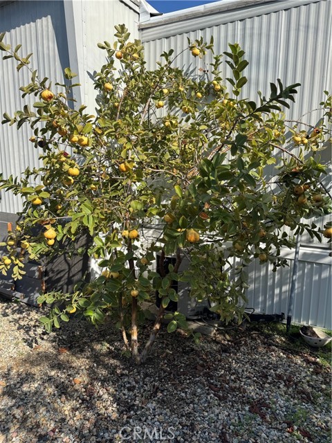 Detail Gallery Image 18 of 50 For 301 E Foothill #063,  Pomona,  CA 91767 - 2 Beds | 1 Baths