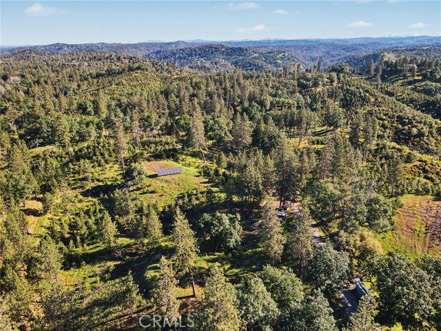 Image 23 of 36 For 3029 Freshwater