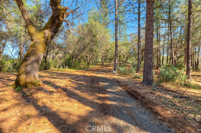 Detail Gallery Image 36 of 52 For 179 Elams Ranch, Oroville,  CA 95966 - 1 Beds | 1 Baths