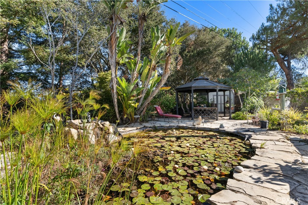 MLS #PI25251565 image #24