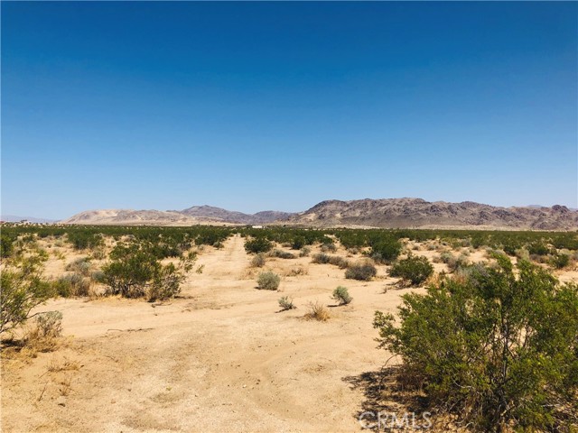 Detail Gallery Image 8 of 9 For 0 Near Dusty Mile Rd, Landers,  CA 92285 - – Beds | – Baths