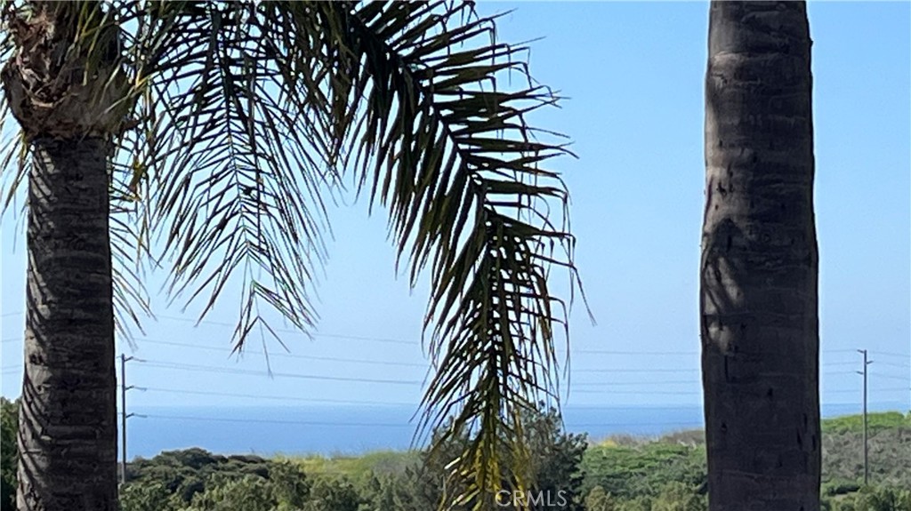 https://media.crmls.org/medias/461dd2f0-8bfb-45f6-b602-f55605e61275.jpg?preset=X-Large