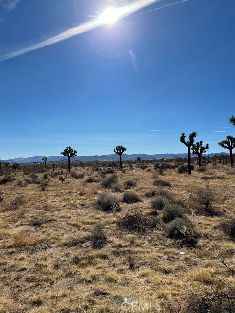 Detail Gallery Image 10 of 23 For 59347 Aberdeen Dr, Yucca Valley,  CA 92284 - – Beds | – Baths