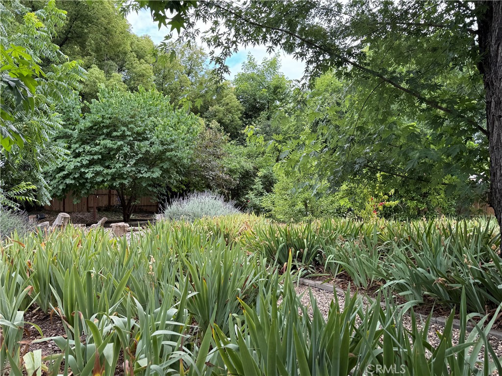 https://media.crmls.org/medias/4622c905-f9b8-432f-83ac-69aee4d456b1.jpg?preset=X-Large