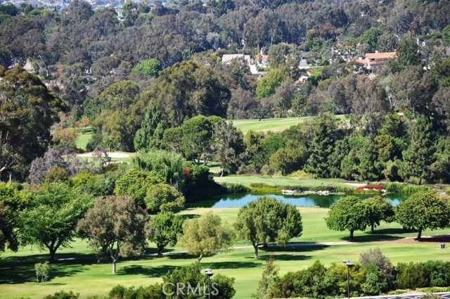 Drone Golf Course View