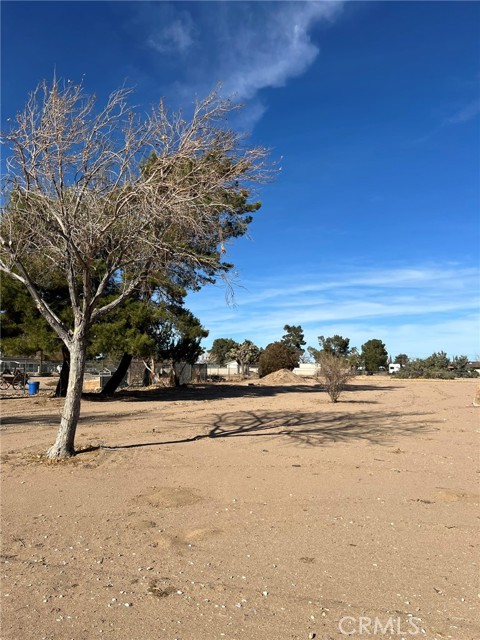 Detail Gallery Image 19 of 19 For 14934 Orange St, Hesperia,  CA 92345 - 4 Beds | 2 Baths