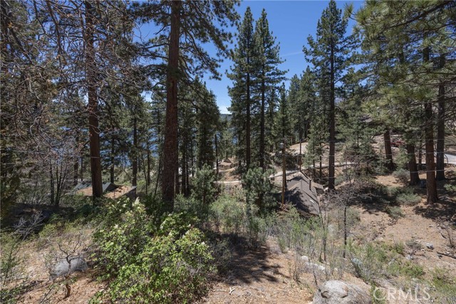 352 Big Bear Trail, Fawnskin CA: https://media.crmls.org/medias/462cc864-2c64-4c25-beb5-1908568f1ddd.jpg