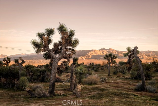 Detail Gallery Image 21 of 24 For 5376 Linda Lee Dr, Yucca Valley,  CA 92284 - 2 Beds | 1 Baths