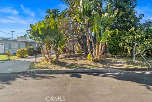 14689 Nurmi Street photo 3