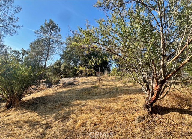 44293 Copper Creek Way, Coarsegold CA: https://media.crmls.org/medias/4640705d-e782-4dbb-b163-630d7811763e.jpg