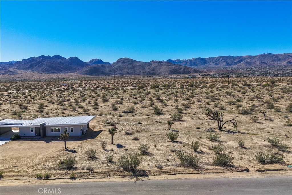 MLS #JT25246842 image #6