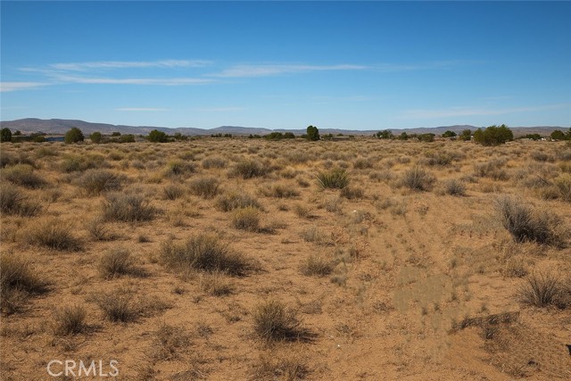 Front Image Thumbnail for CRPW25238598