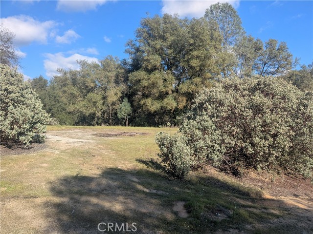 Detail Gallery Image 24 of 25 For 4181 Burl, Mariposa,  CA 95338 - – Beds | – Baths